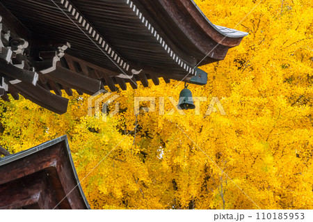 231115飛騨国分寺g041 231115飛騨国分寺g041 110185953
