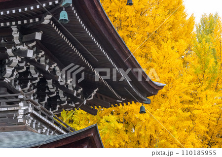 231115飛騨国分寺g037 110185955