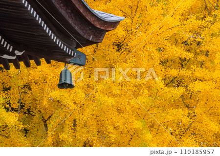 231115飛騨国分寺g027 110185957