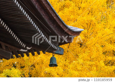 231115飛騨国分寺g025 110185959