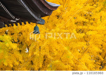 231115飛騨国分寺g022 110185960
