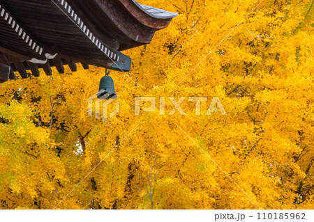 231115飛騨国分寺g020 231115飛騨国分寺g020 110185962