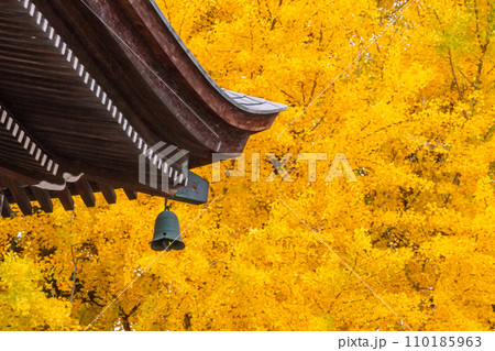 231115飛騨国分寺g019 110185963