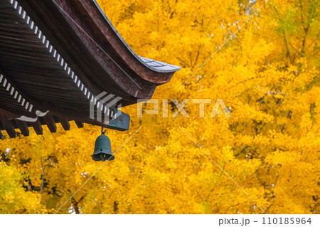 231115飛騨国分寺g017 231115飛騨国分寺g017 110185964