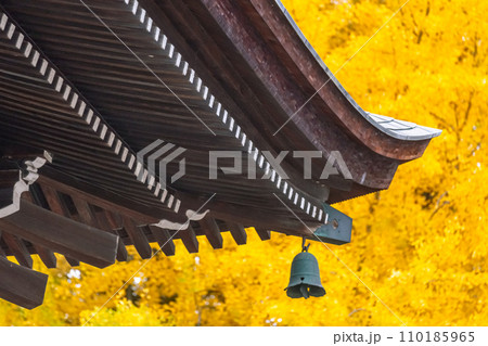 231115飛騨国分寺g015 110185965
