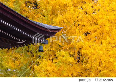 231115飛騨国分寺g002 110185969