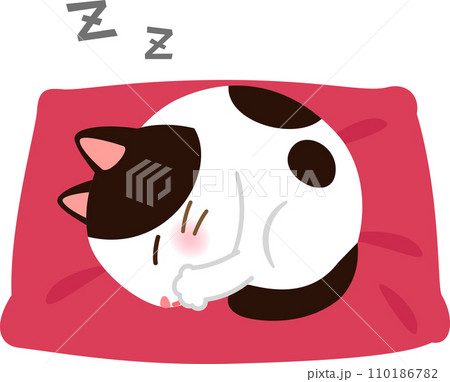 丸くなって眠る猫 丸くなって眠る猫 110186782