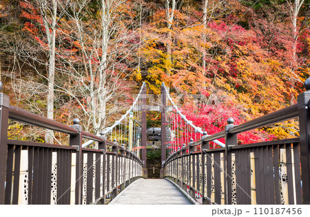紅の吊り橋と紅葉風景・塩原渓谷の秋（栃木県那須塩原市） 110187456