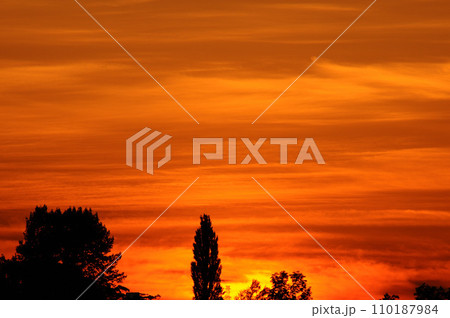 オレンジ色に染まる空 110187984