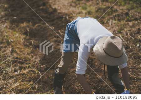 vegetable field 110188095