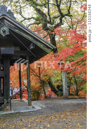秋月の紅葉 秋月の紅葉 110188348