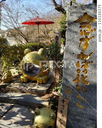 如意輪寺　かえる寺 110188375