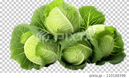 cabbage on a transparent background 110188396