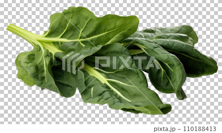 Collards on a transparent backgroundのイラスト素材 [110188413] - PIXTA