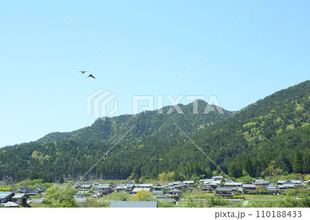 ツバメ飛ぶ金毘羅山と大原の里 110188433