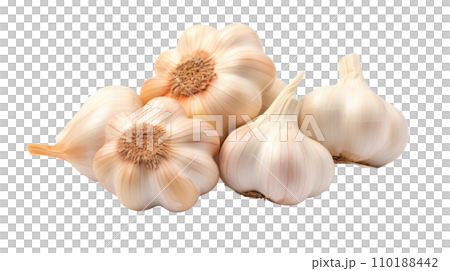 garlic on the transparent background garlic on the transparent background 110188442