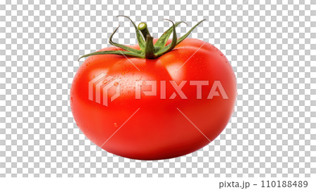 Tomato on the transparent background Tomato on the transparent background 110188489