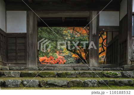 秋月の紅葉 110188532