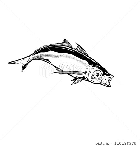 魚 魚 110188579
