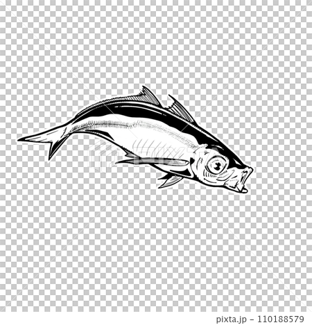 魚 魚 110188579