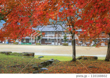 秋月の紅葉 秋月の紅葉 110188602