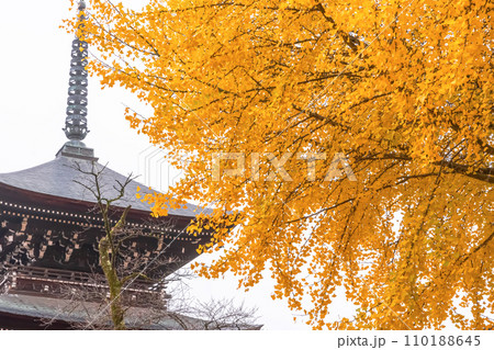 231121飛騨国分寺z134 231121飛騨国分寺z134 110188645