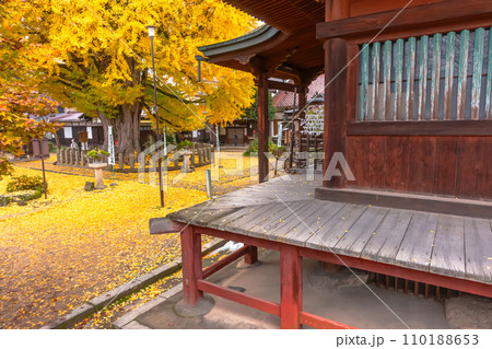 231121飛騨国分寺z121 110188653