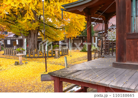 231121飛騨国分寺z097 110188665