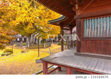 231121飛騨国分寺z091 110188670