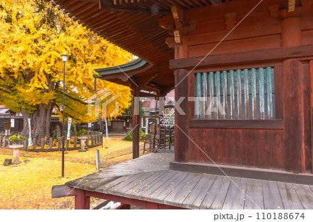 231121飛騨国分寺z080 110188674