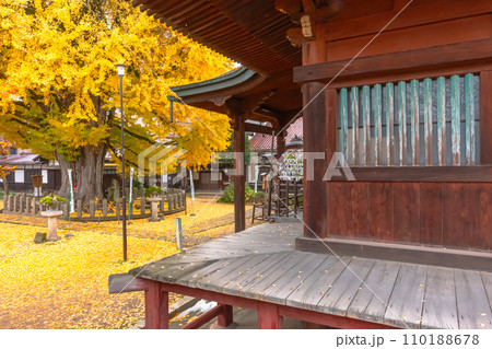 231121飛騨国分寺z074 231121飛騨国分寺z074 110188678