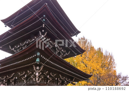 231121飛騨国分寺z053 110188692