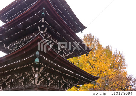 231121飛騨国分寺z052 110188694