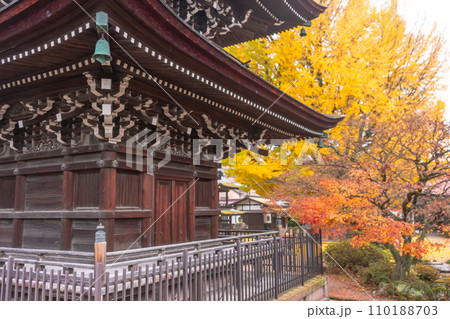 231121飛騨国分寺z027 110188703