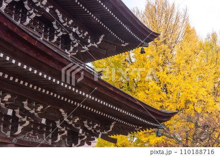 231121飛騨国分寺z009 110188716