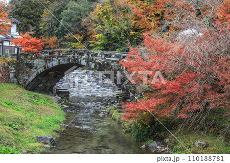 秋月の紅葉 秋月の紅葉 110188781