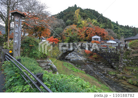 秋月の紅葉 秋月の紅葉 110188782