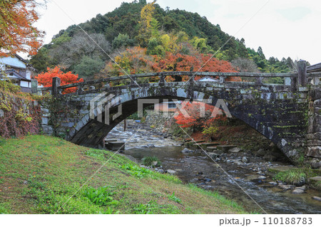 秋月の紅葉 秋月の紅葉 110188783