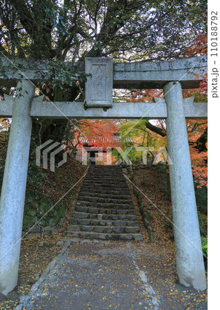 秋月の紅葉 秋月の紅葉 110188792