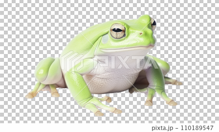 Frog beautiful colorful on the transparent background 110189547