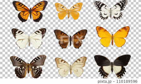 Butterfly collection on the transparent background-插圖素材 [110189596 ...