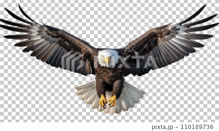 American Eagle is flying gracefully on a transparent background 110189736