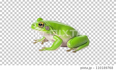 Frog beautiful colorful on the transparent background Frog beautiful colorful on the transparent background 110189768