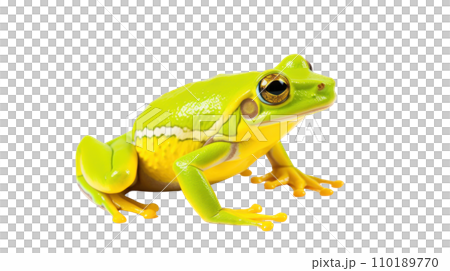 Frog beautiful colorful on the transparent background Frog beautiful colorful on the transparent background 110189770