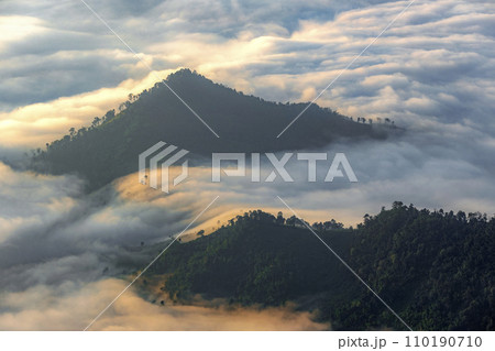 Top view Landscape of Morning Mist with Mountain Layer 110190710