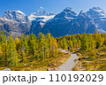 カナディアンロッキー・ラーチバレートレイルの黄葉 110192029
