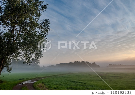 Crisp Morning Light on a Misty Meadow Path Crisp Morning Light on a Misty Meadow Path 110192232