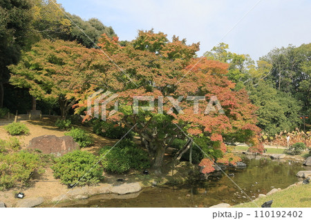 晩秋の栗林公園(11月上旬) 晩秋の栗林公園(11月上旬) 110192402