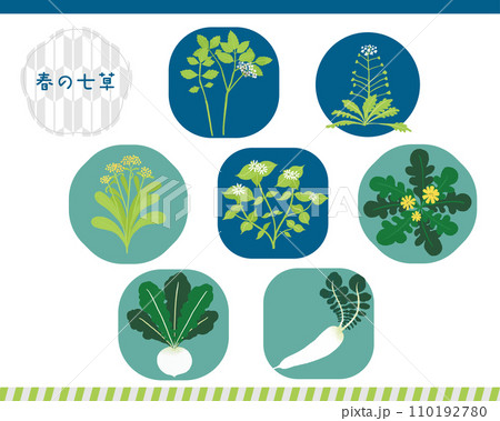 春の七草のイラスト 110192780