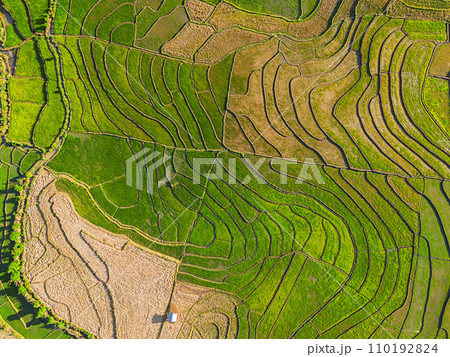 Rice field terraces aerial view. Rice field terraces aerial view. 110192824